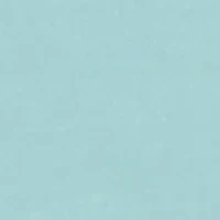 Little Boys NYC Outfit Bear Graphic Tee