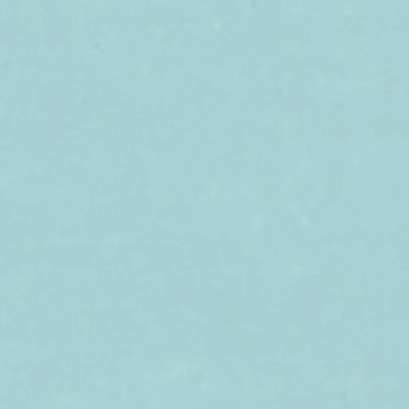 Little Boys NYC Outfit Bear Graphic Tee