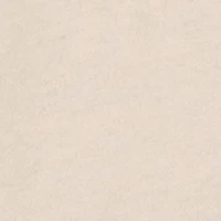 Boys Sonic Gotta Go Fast Graphic Tee