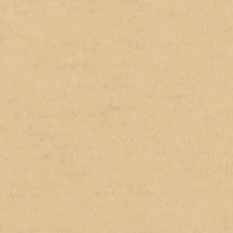 Boys Chenille Sonic and Shadow Patch Graphic Tee