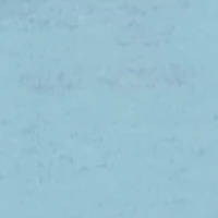 Boys Sonic the Hedgehog and Friends Graphic T-Shirt