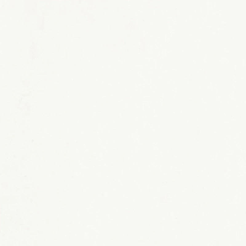 Boys Fight Hard Never Surrender Bear Patch Graphic Tee