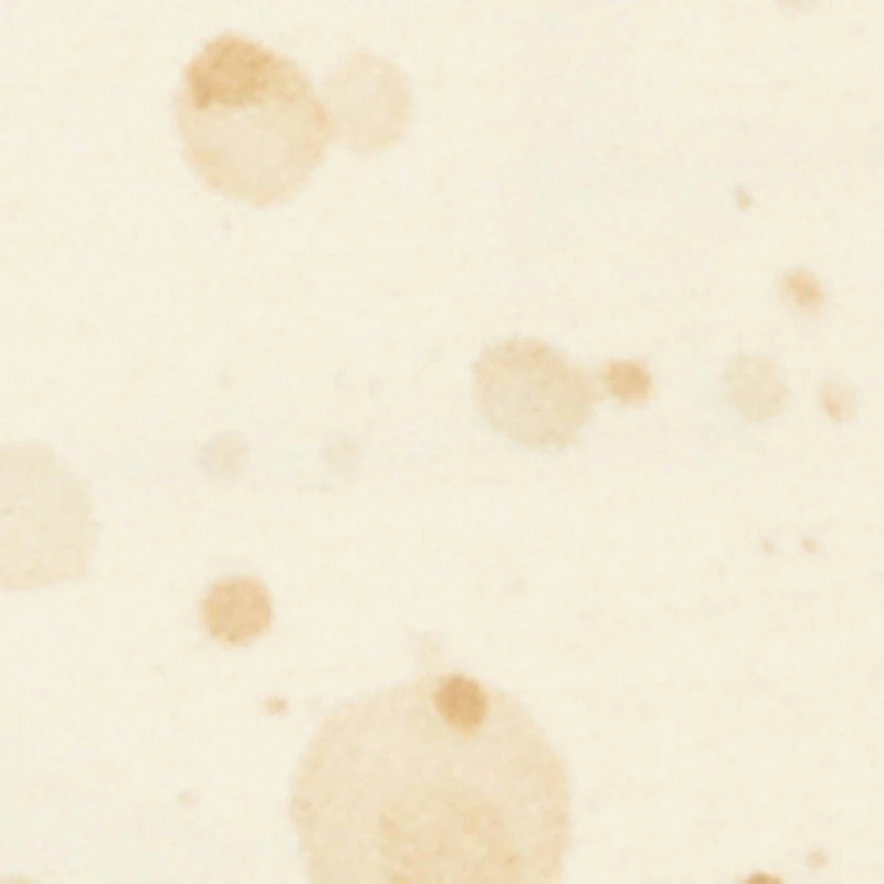 Boys Trouble Maker Panda Graphic Tee