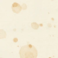 Boys Trouble Maker Panda Graphic Tee