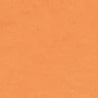 Little Boys Stay Fresh Graphic Tee and Cargo Joggers