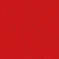 Little Boys Flower Rhinestone Hooded Pullover Sweatshirt