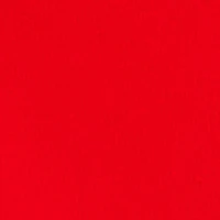 Little Boys Floral Rhinestone Graphic Tee