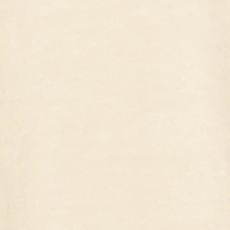 Little Boys Bear Graphic Rhinestone Short Sleeve Tee