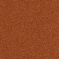 Little Boys Superior Pullover Hoodie and Joggers Set