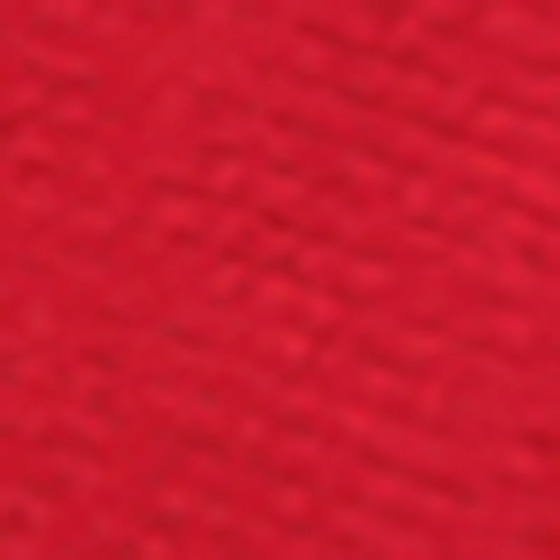 Little Boys Teddy Bear Graphic Jacket and Joggers