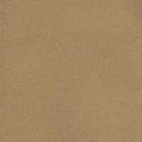 Little Boys Fleece Zip Front Hoodie and Joggers Set