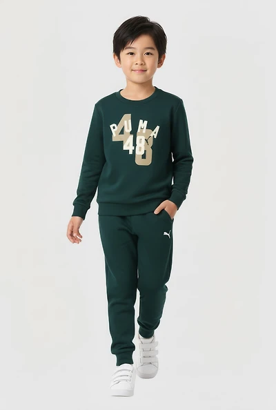 Toddler Boys Puma 48 Graphic Sweatshirt and Sweatpants, Green,