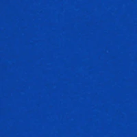 Boys Sonic Graphic Zip Front Hoodie and Joggers Set