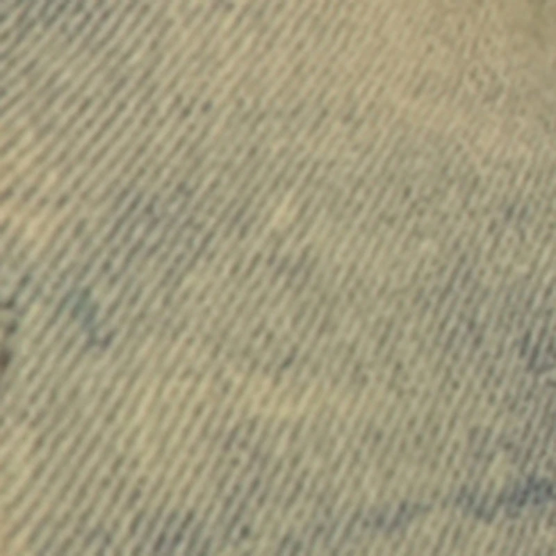 Little Boys Whiskered Acid Wash Skinny Moto Jeans