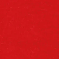 Boys Flower Rhinestone Crew Neck Short Sleeve Tee