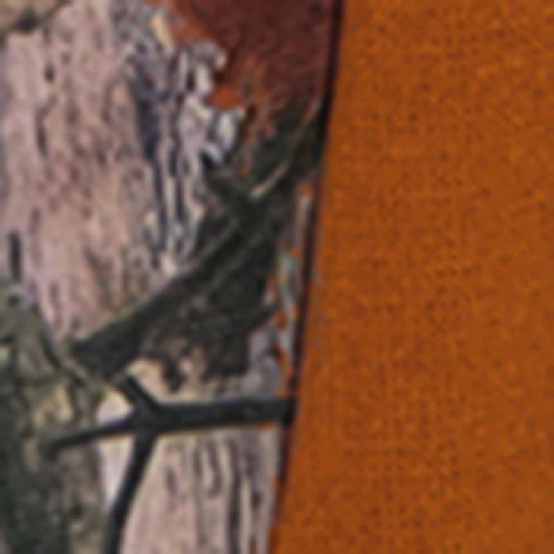 Boys Color Block Hunter Camo Graphic Tee and Sweatpants