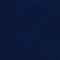 Little Boys Sonic 91 Graphic Hooded Sweatshirt