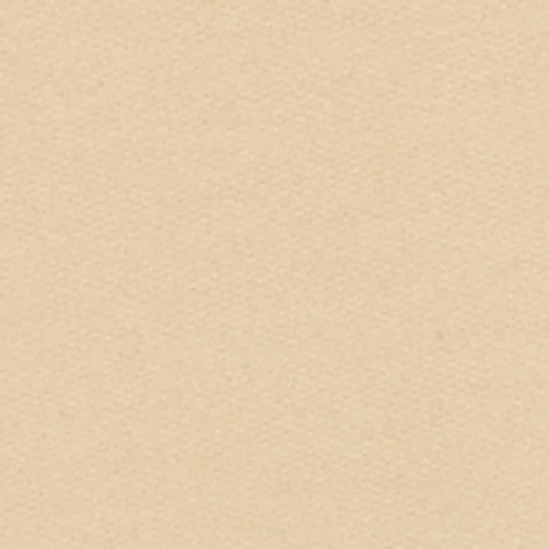 Boys Sonic Embroidered Kangaroo Pocket Hoodie