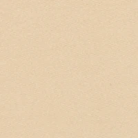 Boys Sonic Embroidered Kangaroo Pocket Hoodie