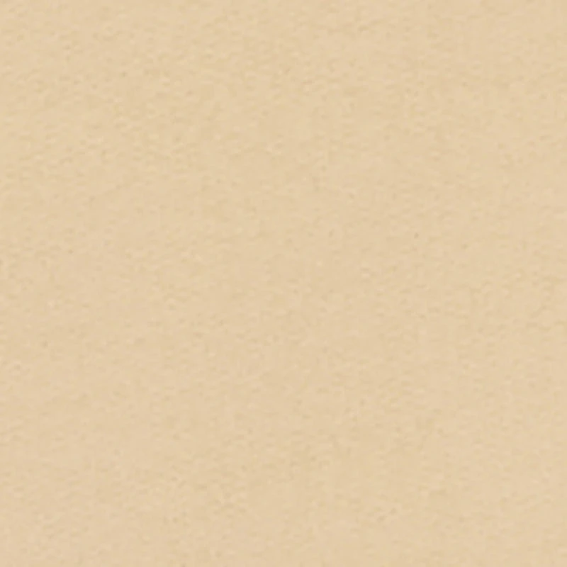 Boys Sonic Embroidered Kangaroo Pocket Hoodie