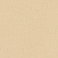 Boys Sonic Embroidered Kangaroo Pocket Hoodie