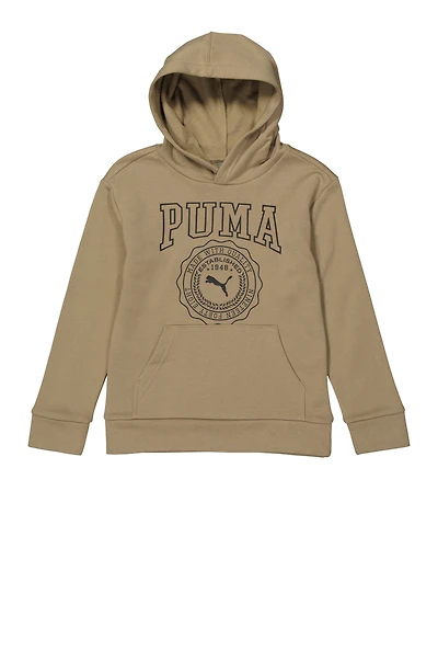 Boys Puma Graphic Pullover Hoodie, Beige, Size L