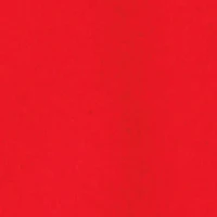 Boys 48 Puma Graphic Kangaroo Pocket Hooded Sweatshirt