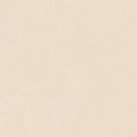 Boys Long Sleeve Hooded Puma Graphic Sweatshirt