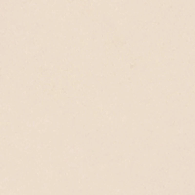 Boys Long Sleeve Hooded Puma Graphic Sweatshirt