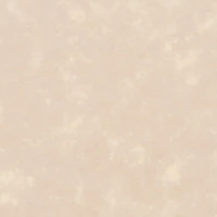 Plus Acid Wash Crew Neck Short Sleeve T-Shirt