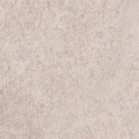 Plus VIP Mineral Wash Raw Hem Cargo Jeans