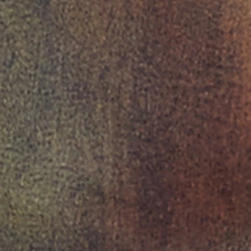 Plus Daisy Acid Wash Cargo Pocket Denim Mini Skirt