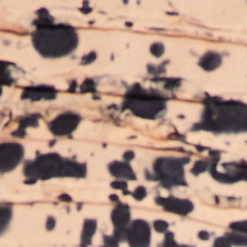 Plus Tie Dye Crop Denim Vest