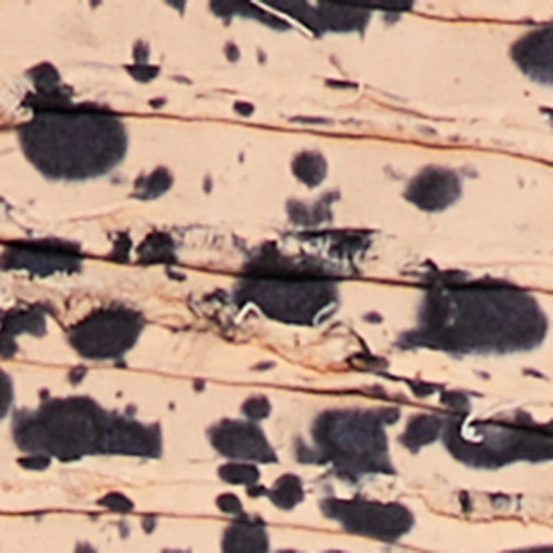 Plus Frayed Tie Dye Wide Leg Jeans