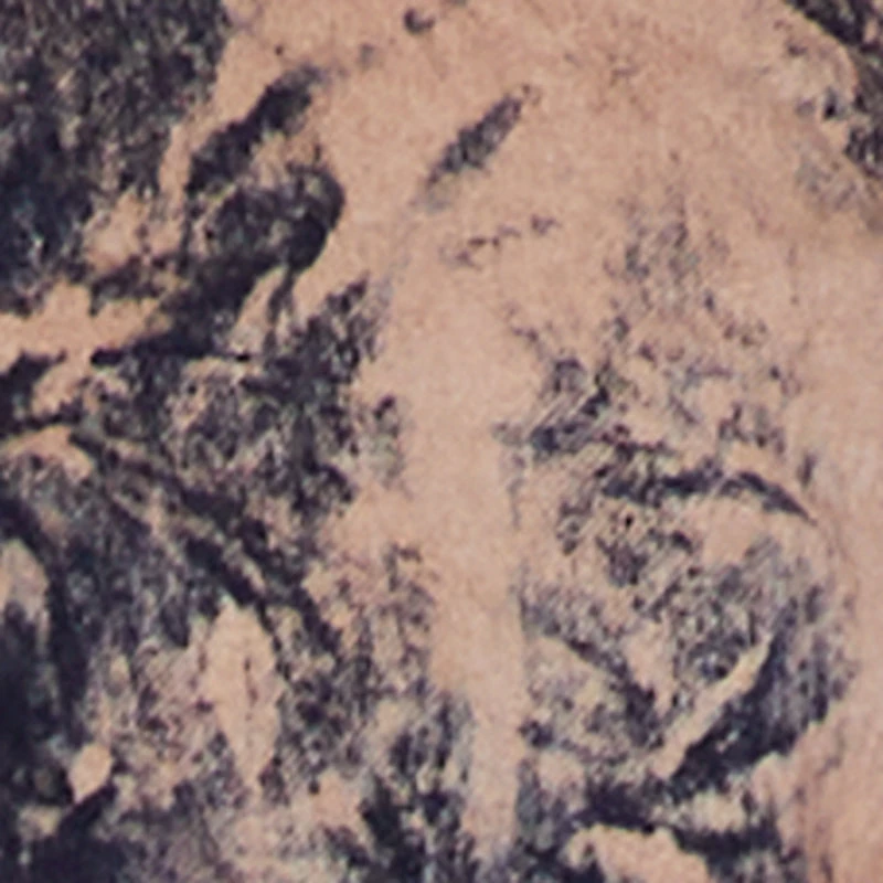 Plus Acid Wash Button Front Long Sleeve Denim Jacket