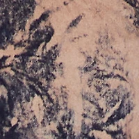 Plus Acid Wash Button Front Long Sleeve Denim Jacket