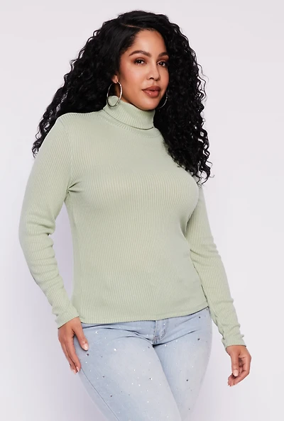 Plus Rib Knit Turtleneck Top