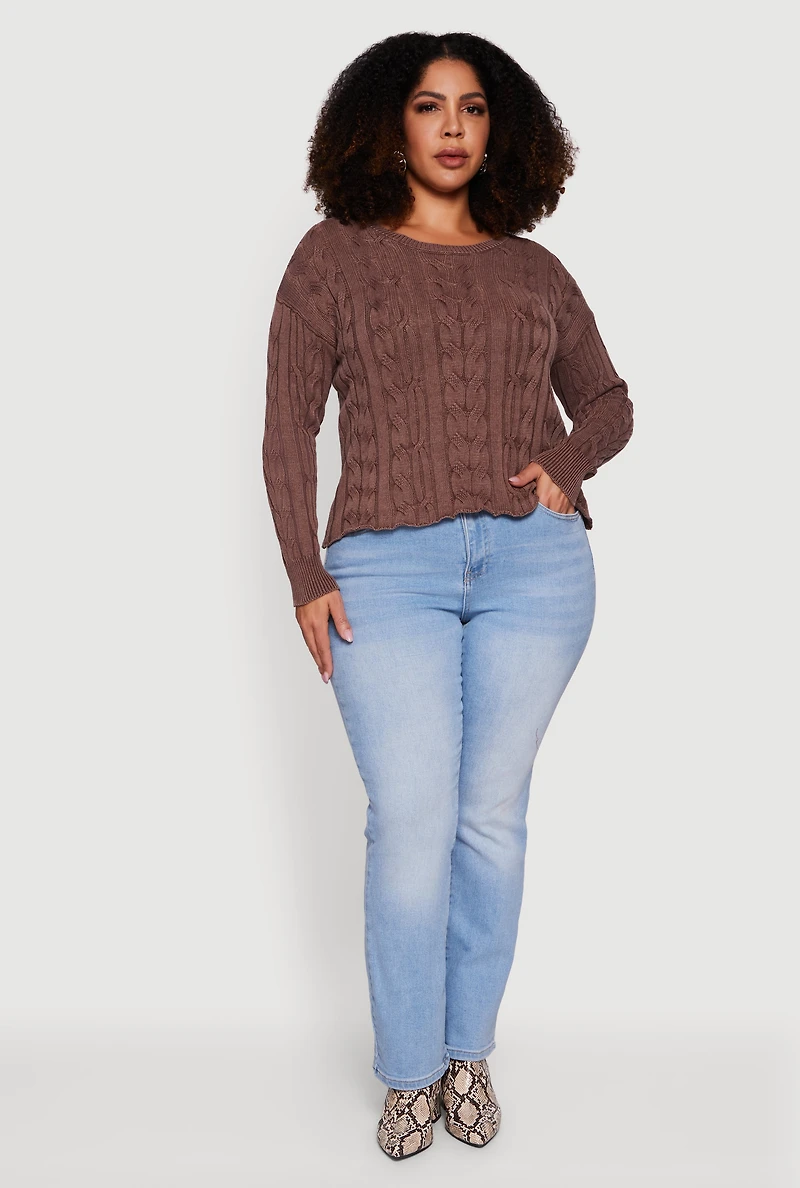 Womens Plus Long Sleeve Cable Knit Crew Neck Sweater, Brown,