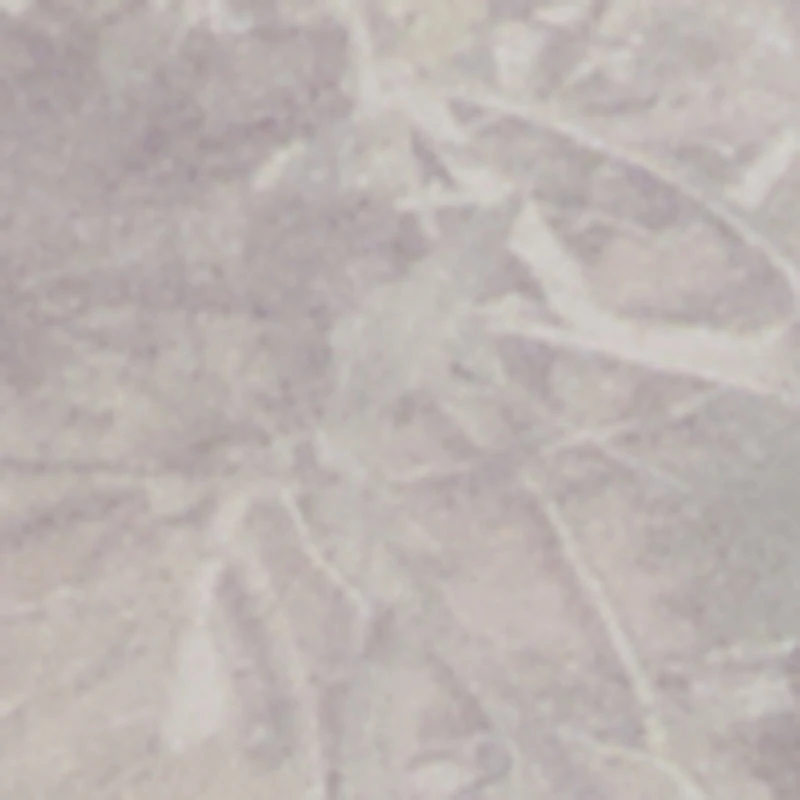 Plus Almost Famous Camo Graphic Pullover Sweatshirt