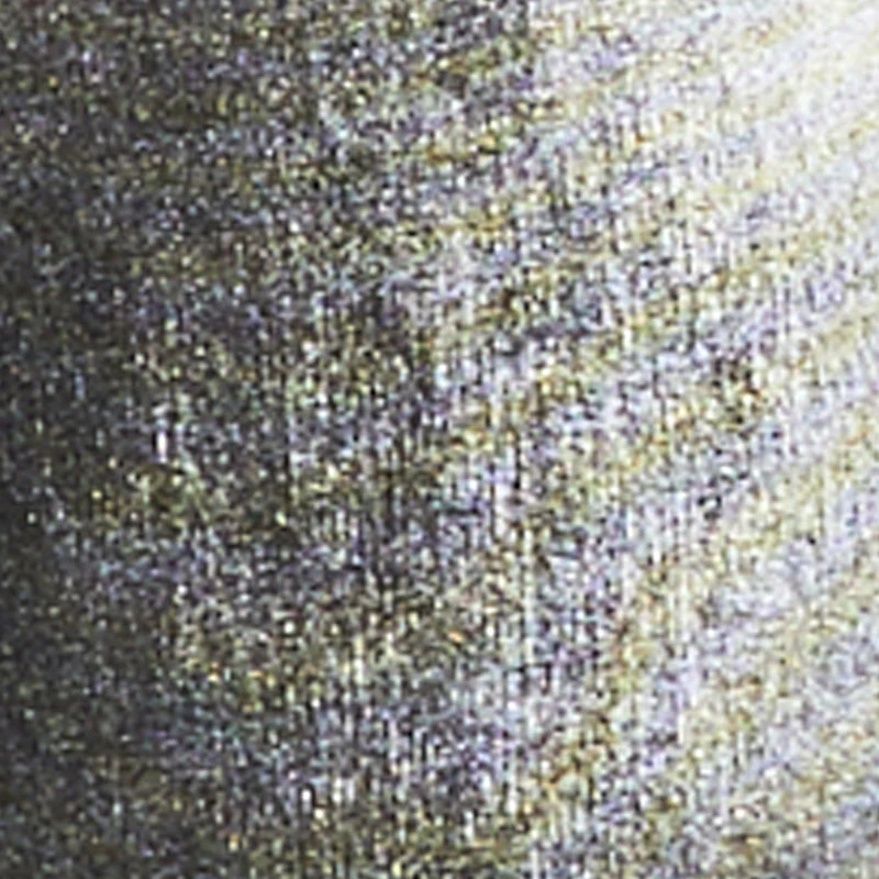 Plus Side Tie High Waisted Pull On Pants