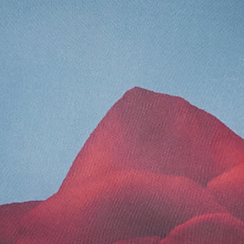 Plus Almost Famous Mesh Rose Print Maxi Dress