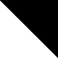 Plus High Waisted Contrast Piping Side Leggings