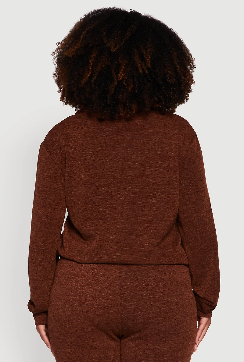 Womens Plus Size Collared V-Neck Pullover Sweater, Brown, Size 3X