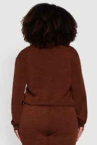 Womens Plus Size Collared V-Neck Pullover Sweater, Brown, Size 3X