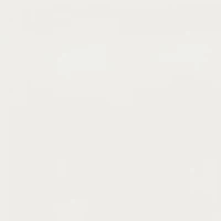 Laser Cut Thong Panty