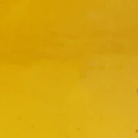 Mens Amaze Noir Cologne