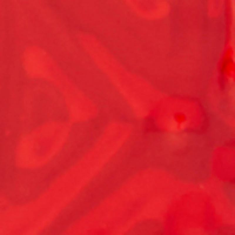 Mens Versailles Ares Red Cologne