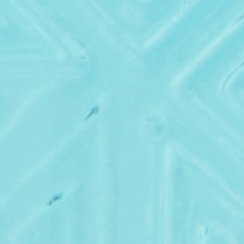 Mens Versailles Pour Homme Cologne