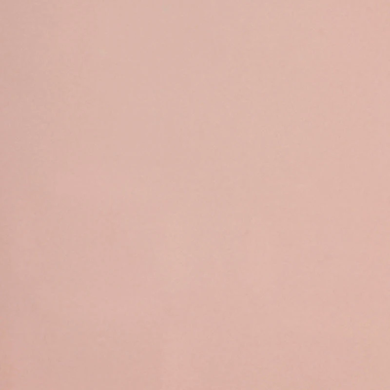 True Wireless Clear Case Earbuds