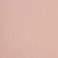 True Wireless Clear Case Earbuds